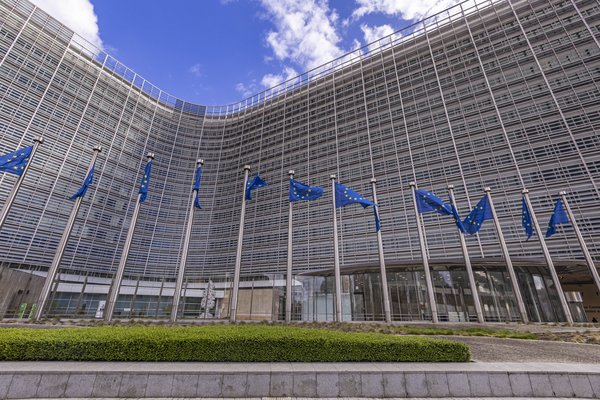 AFP__20240320__economou-notitle240319_npstx__v1__HighRes__EuFlagsInBrussels