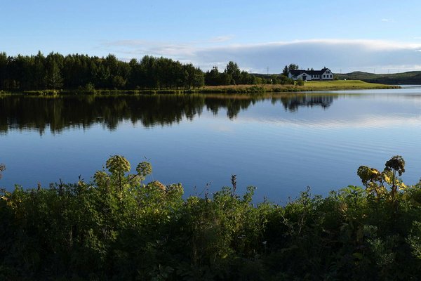 Heiðmörk