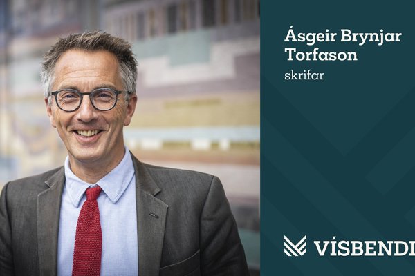 deilimynd-asgeirbrynjar