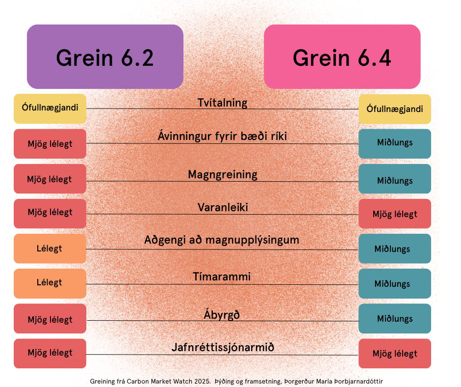 Grafík - Þorgerður
