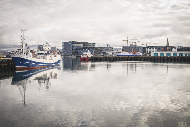 Reykjavíkurhöfn